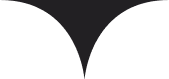 Vector